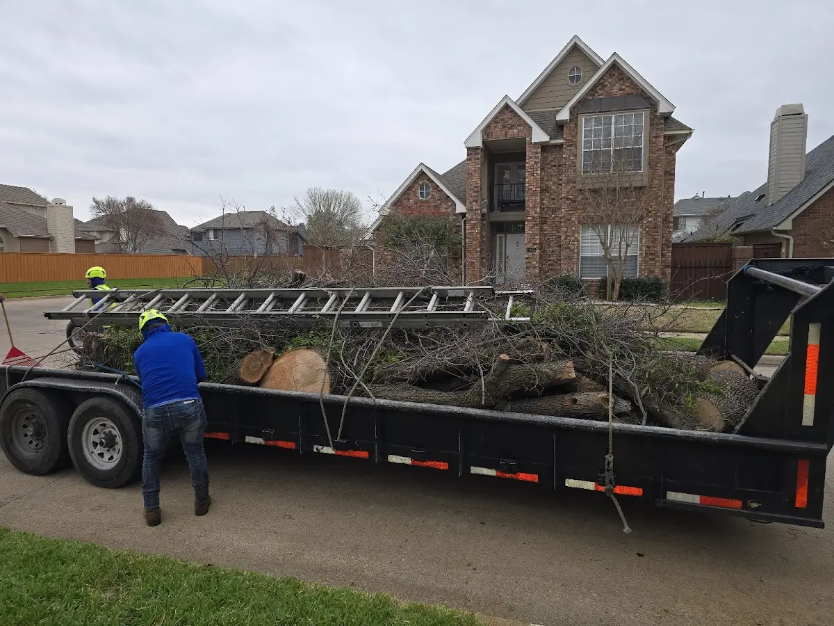 Expert Crown Reduction with proper safety equipment in Highland Park